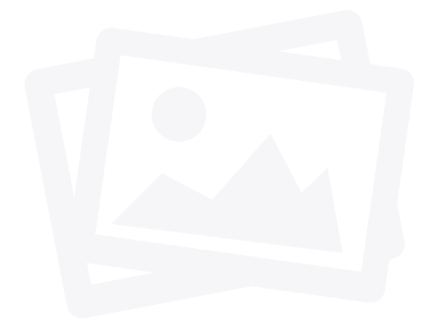 443 SILVER MOUNTAIN DR